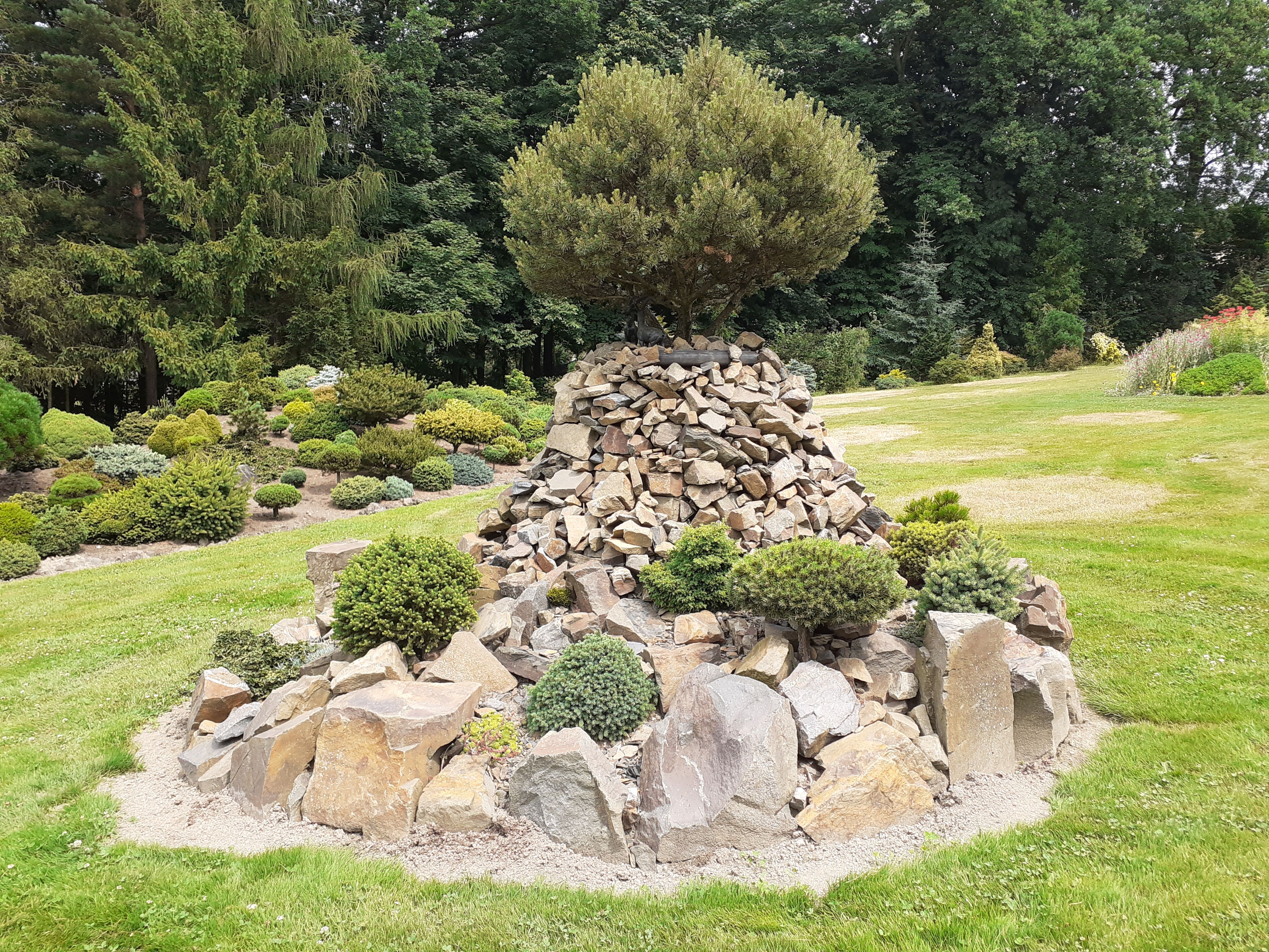 image5