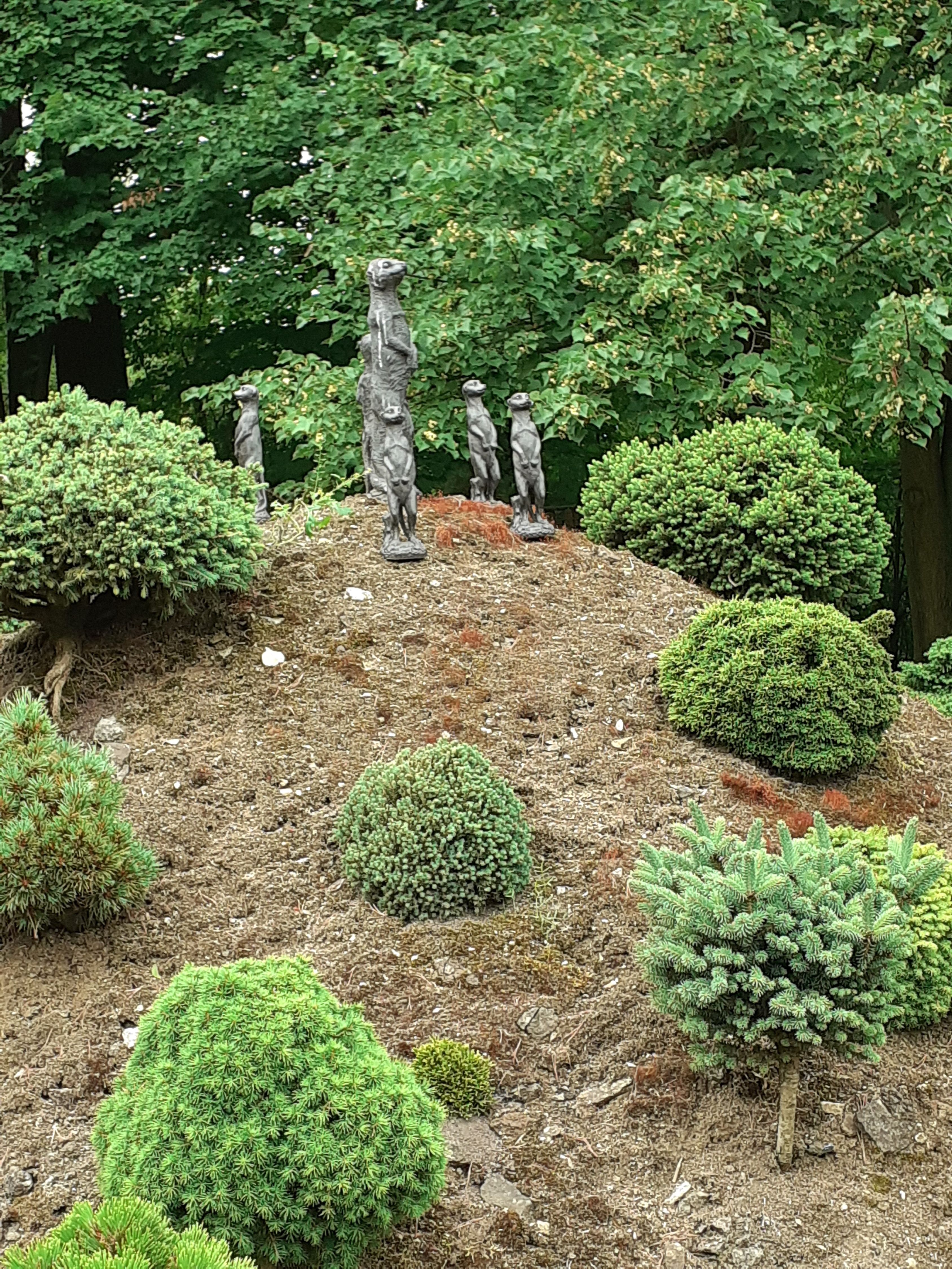 image11