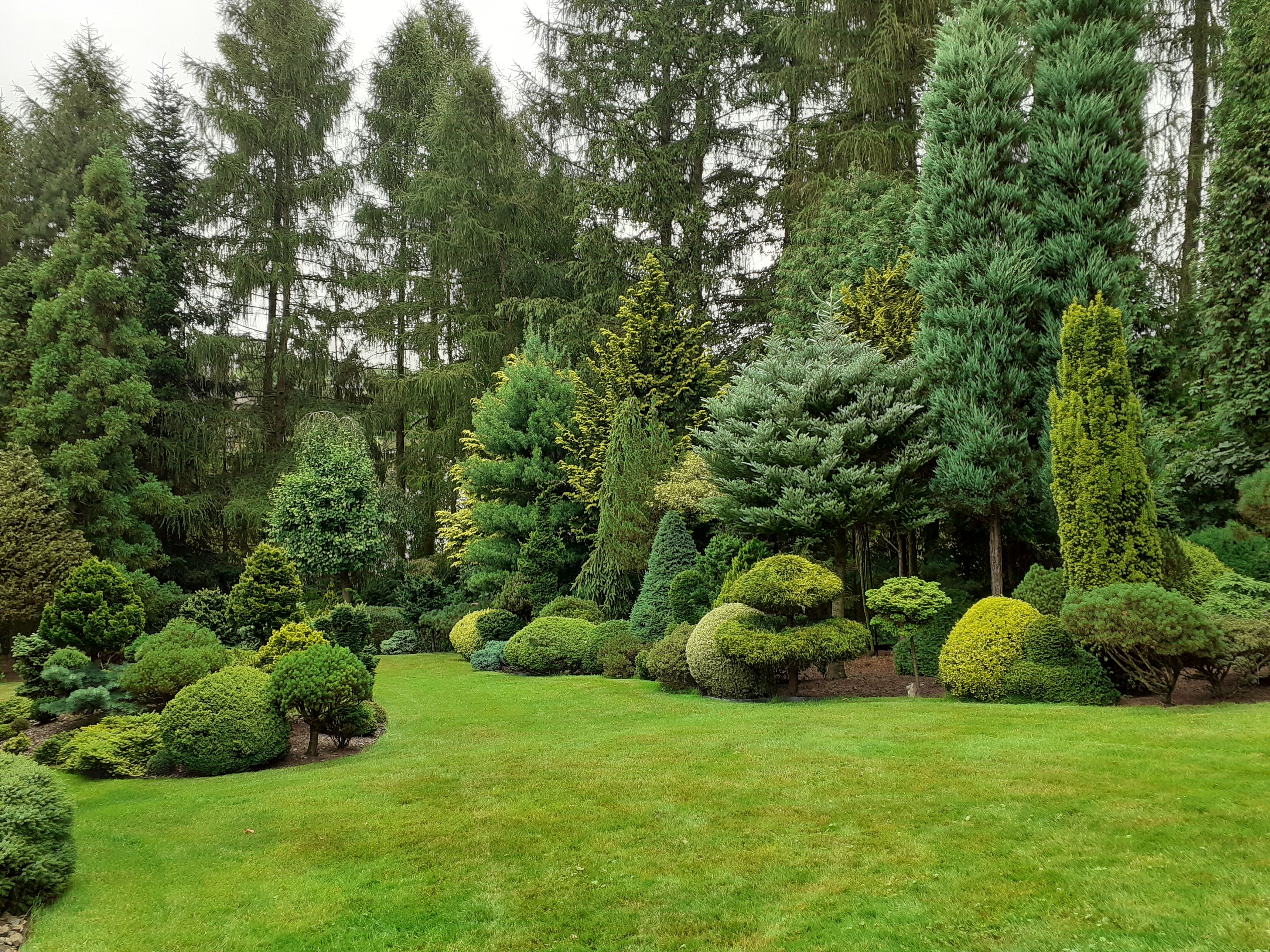 image12